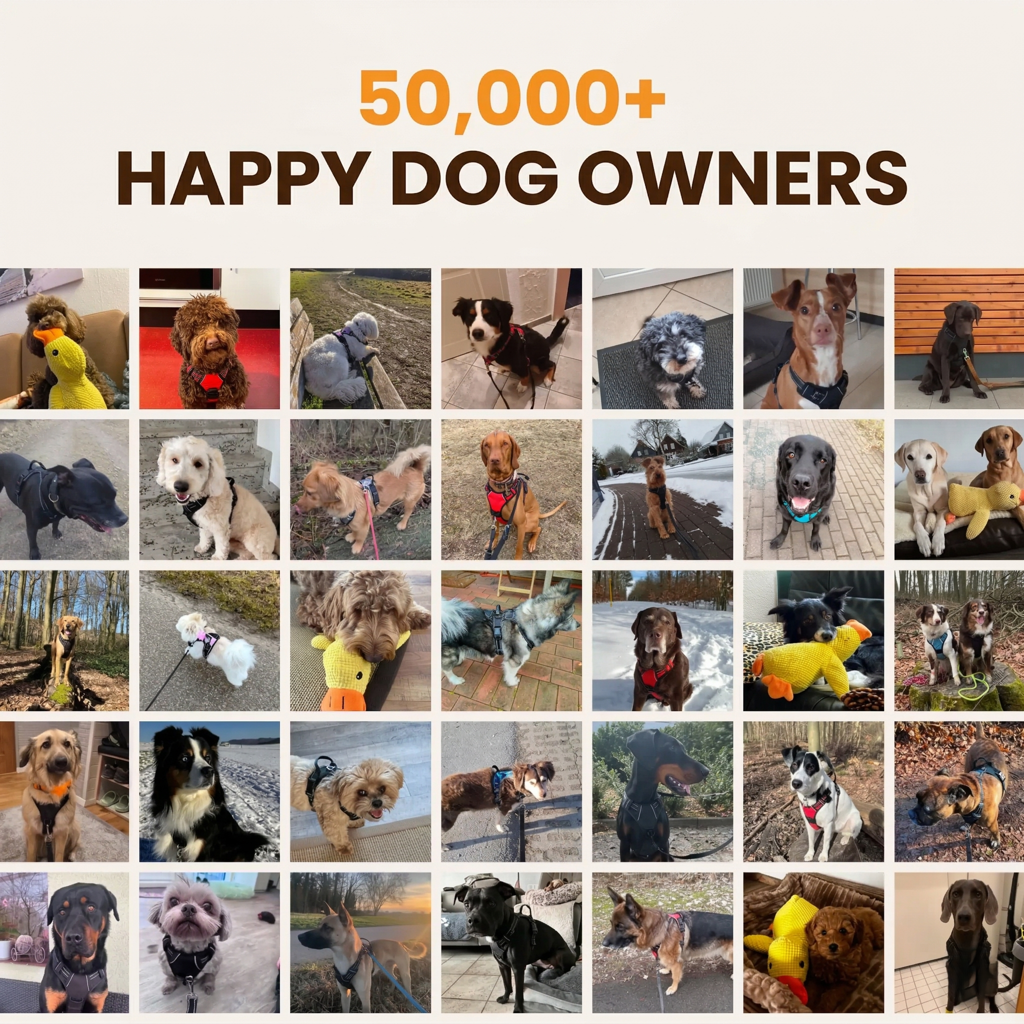 Woofye No-Pull Dog Leash